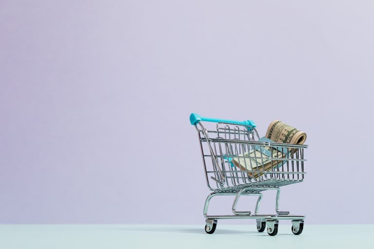 Mini shopping cart with cash symbolizing the idea of making money online for beginners in a simple and visual way.