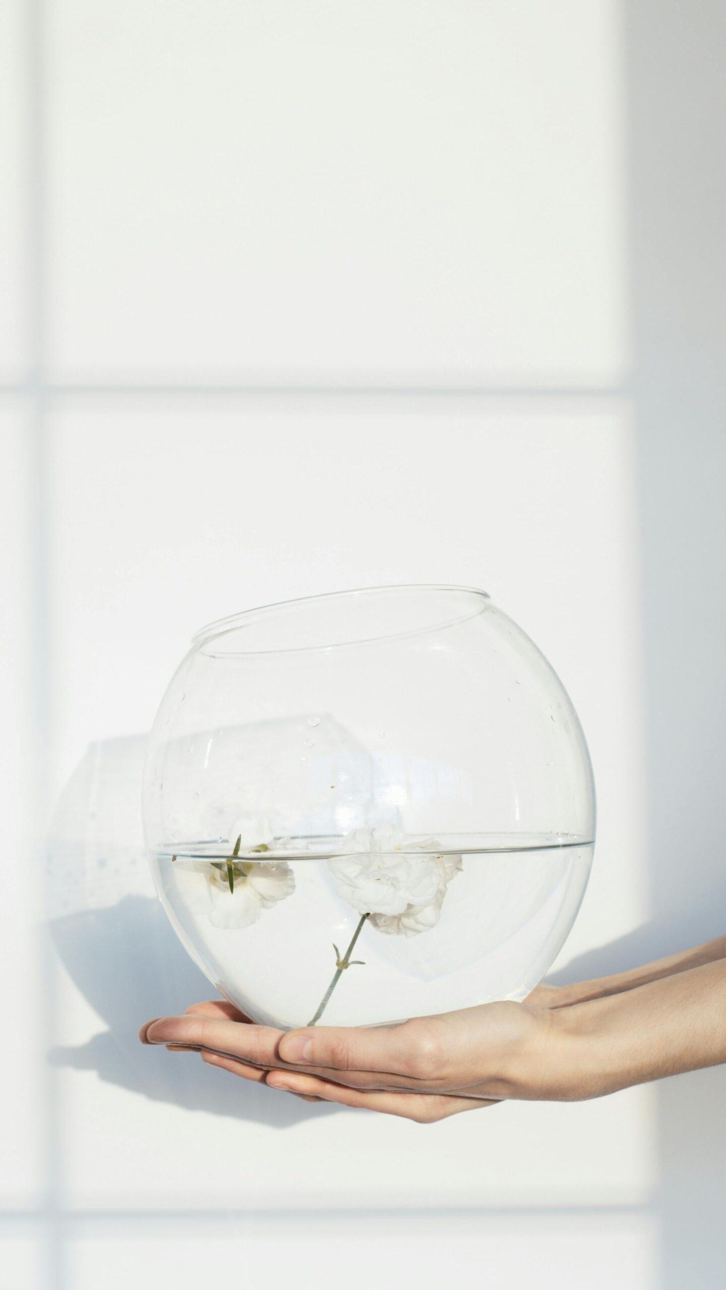 A soft, minimalist photo of a hand holding a glass bowl with white flowers floating in water, casting natural light and shadows. Symbolic of calm strategy and contained clarity.