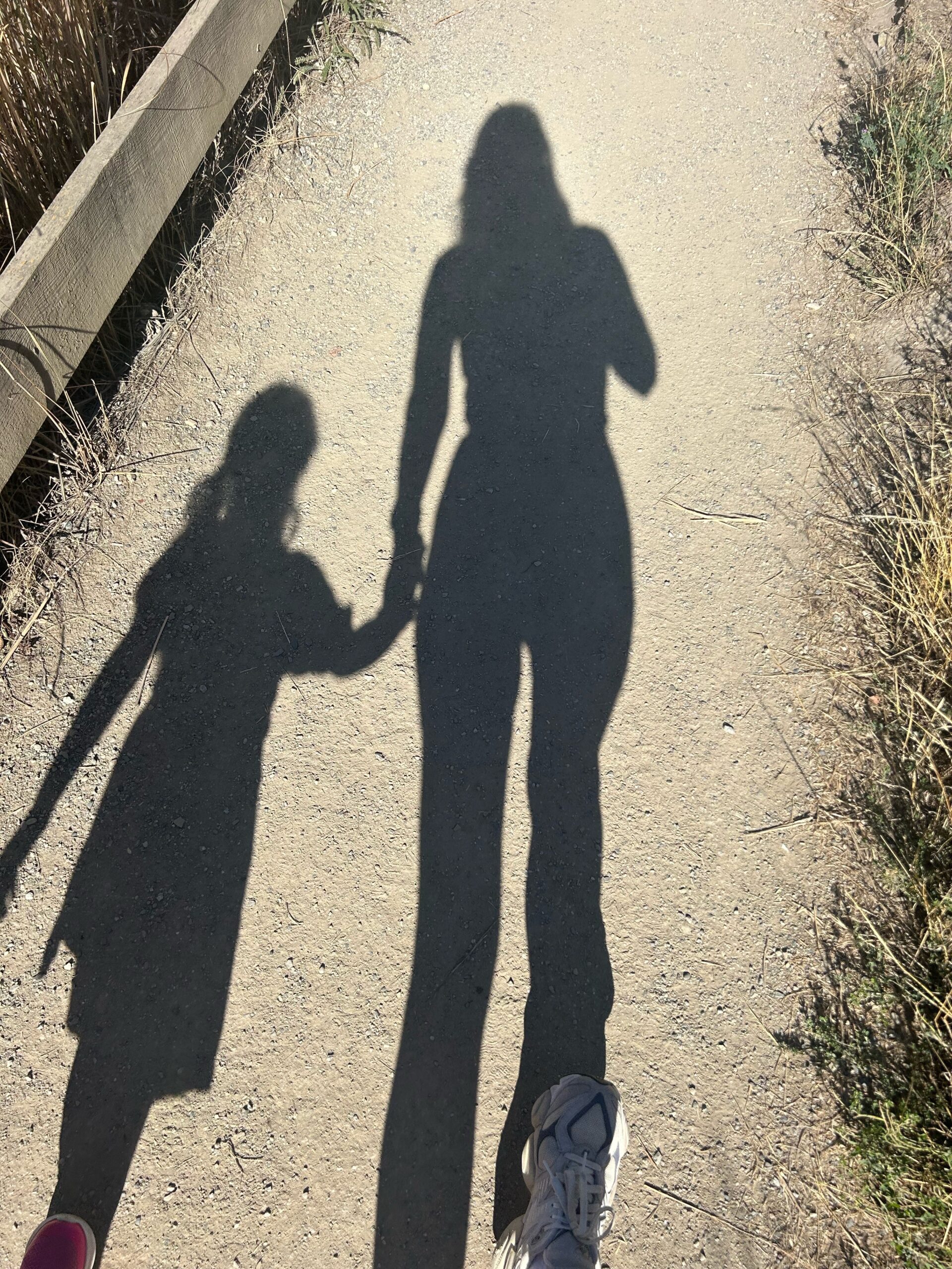 Shadow of a mom holding her child’s hand while walking outdoors on a sunny day. The photo captures a simple, peaceful moment that reflects motherhood, presence, and the desire for a calmer way to build a digital business.